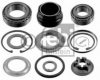 FEBI BILSTEIN 10505 Wheel Bearing Kit